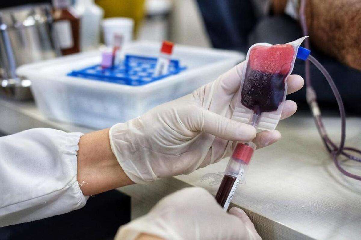 CCJ do Senado aprova PEC que permite a venda de plasma humano