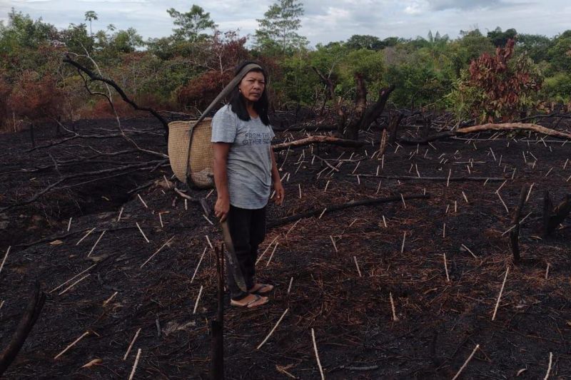 “A sensação é que a água está fervendo”: indígenas do Amazonas passam necessidades por conta de crise climática na região