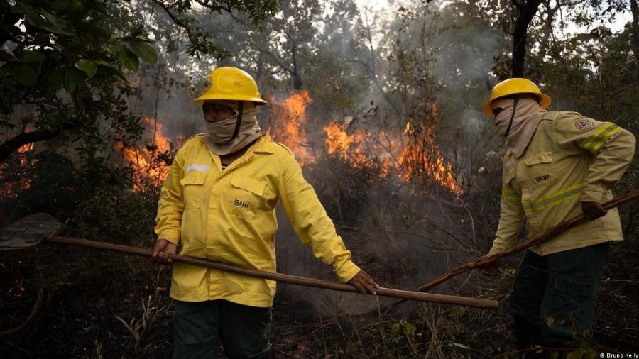 Brasil diminui desmatamento mas Amazônia ainda está sendo queimada, aponta INPE