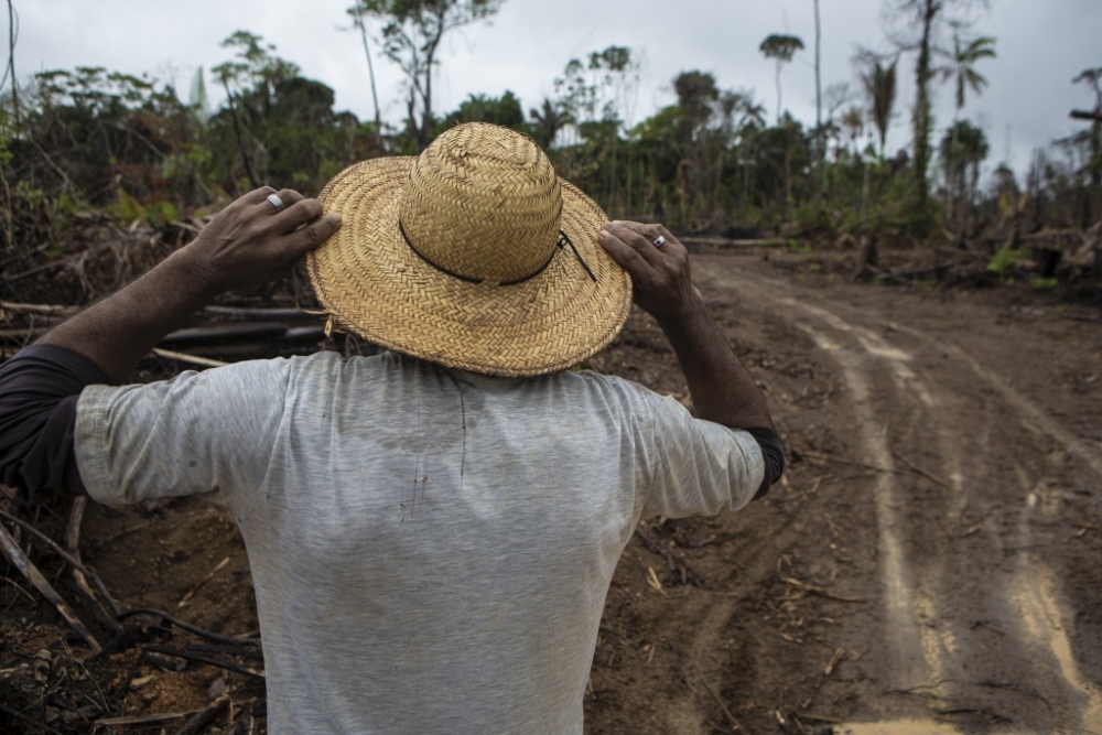 Seca na Amazônia encarece preços dos alimentos e põe em risco a segurança alimentar das populações
