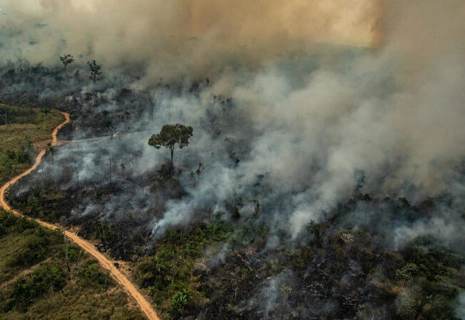 90% dos focos de incêndio estão na Amazônia e no Cerrado, aponta  levantamento - Mídia NINJA