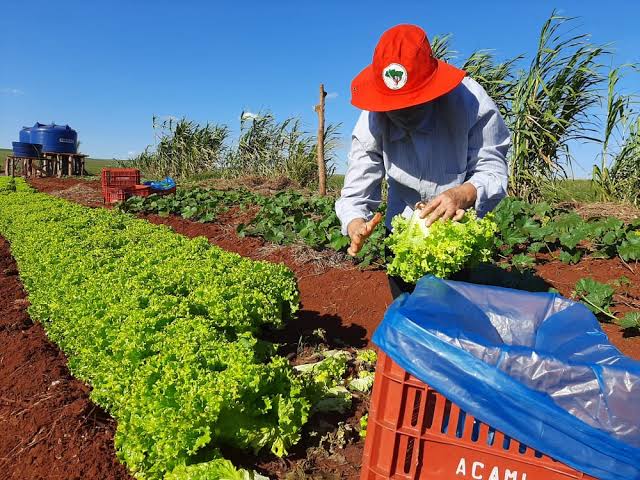 Reforma Agrária é comida no prato: MST inicia jornada de mobilizações no Dia da Soberania Alimentar