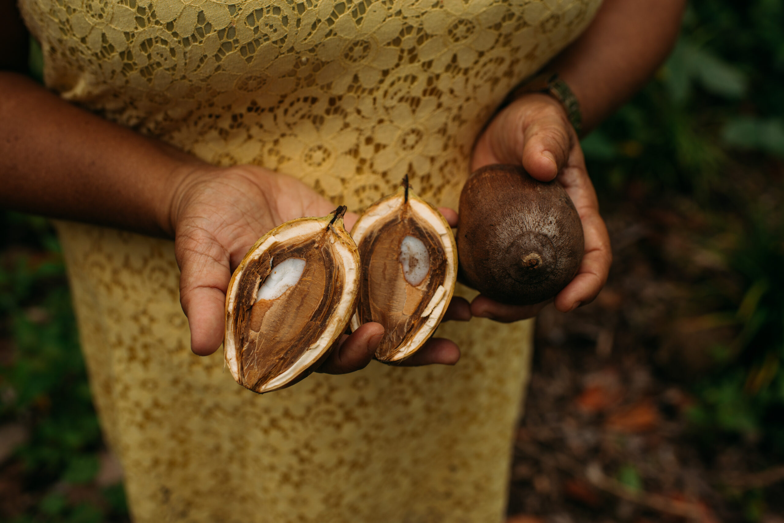 Quebradeiras de Coco do Bico do Papagaio inauguram entreposto para beneficiamento do babaçu