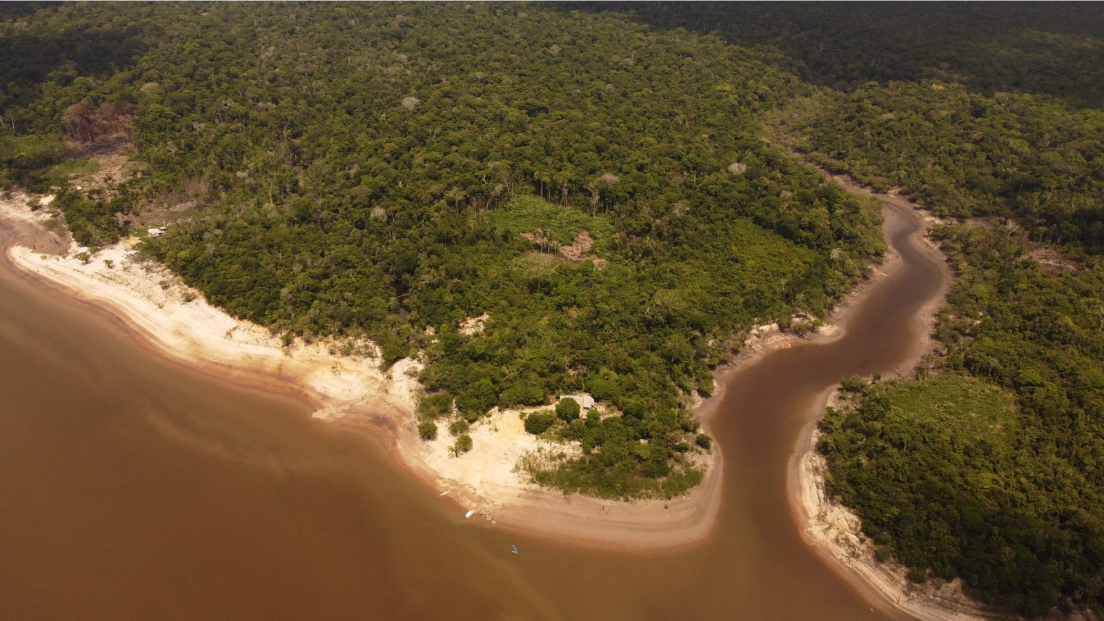 Agricultura familiar ajuda comunidades ribeirinhas a enfrentar seca histórica na Amazônia