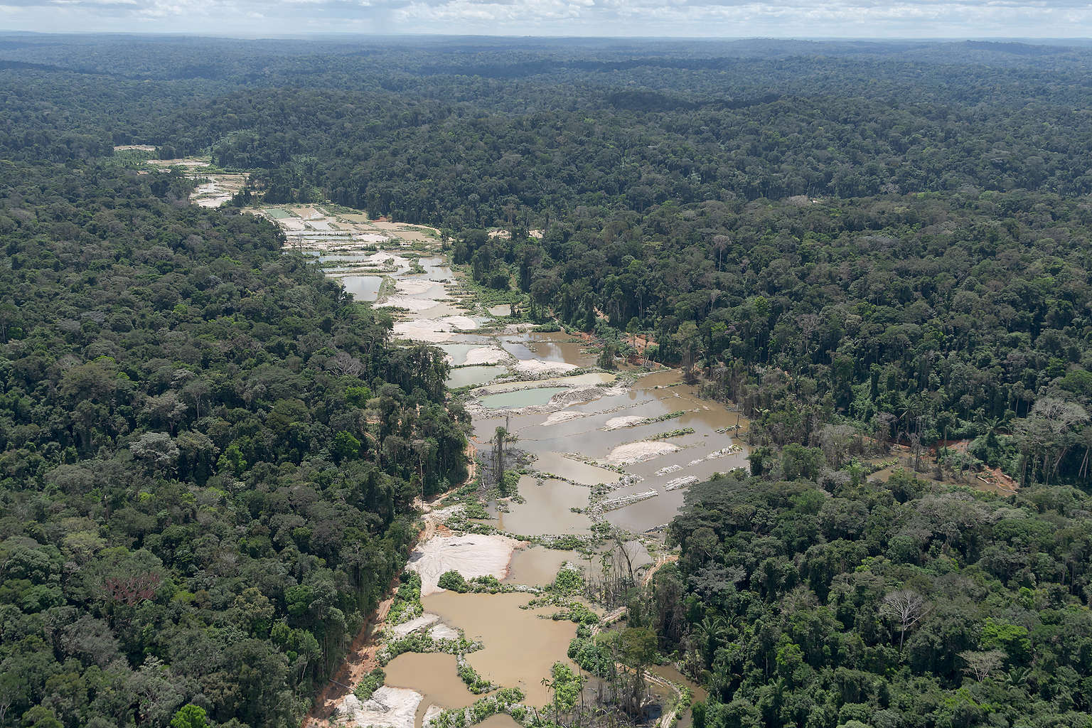 Crime organizado já alcança mais da metade da Amazônia, e coloca sob pressão terras indígenas