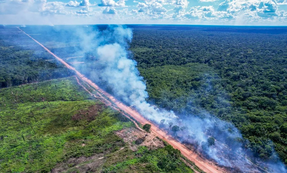 BR-319: Asfaltamento potencializa risco de pandemias e ameaça ambiental na Amazônia, diz estudo da Nature