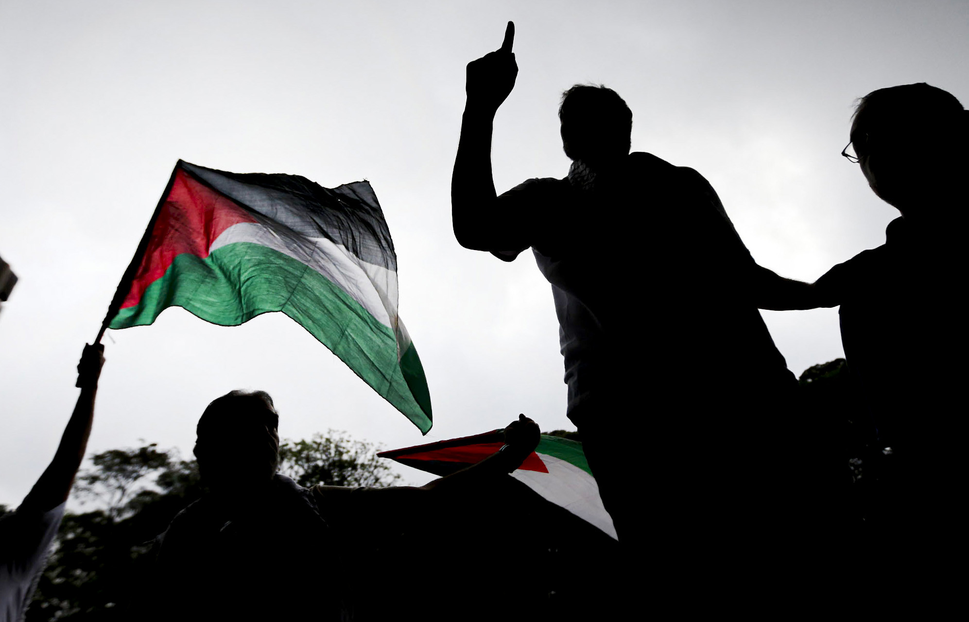 A Academia tem posicionamento sobre o genocídio palestino?
