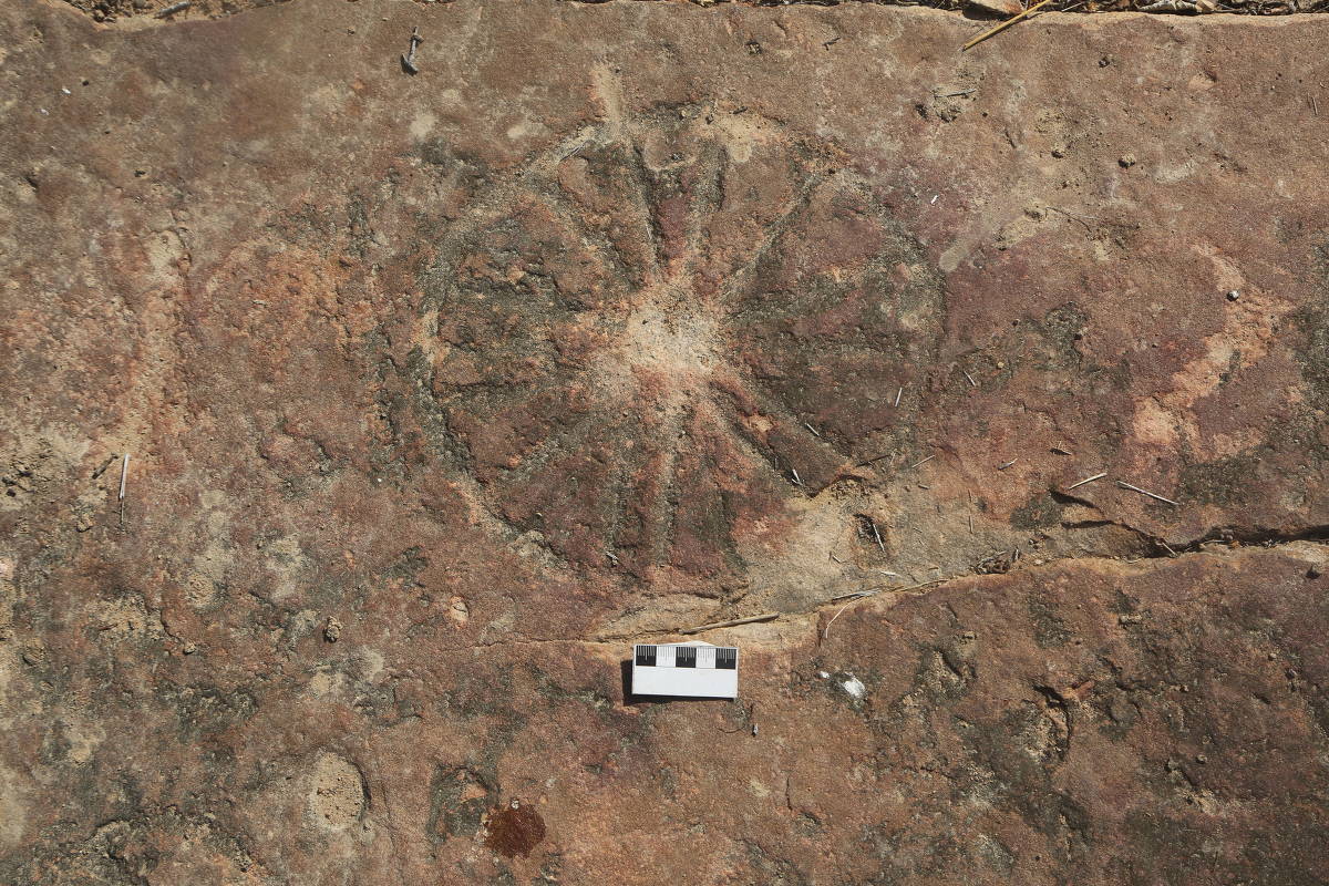 Na Paraíba, cientistas encontram conjunto inédito de pegadas de dinossauro e gravuras