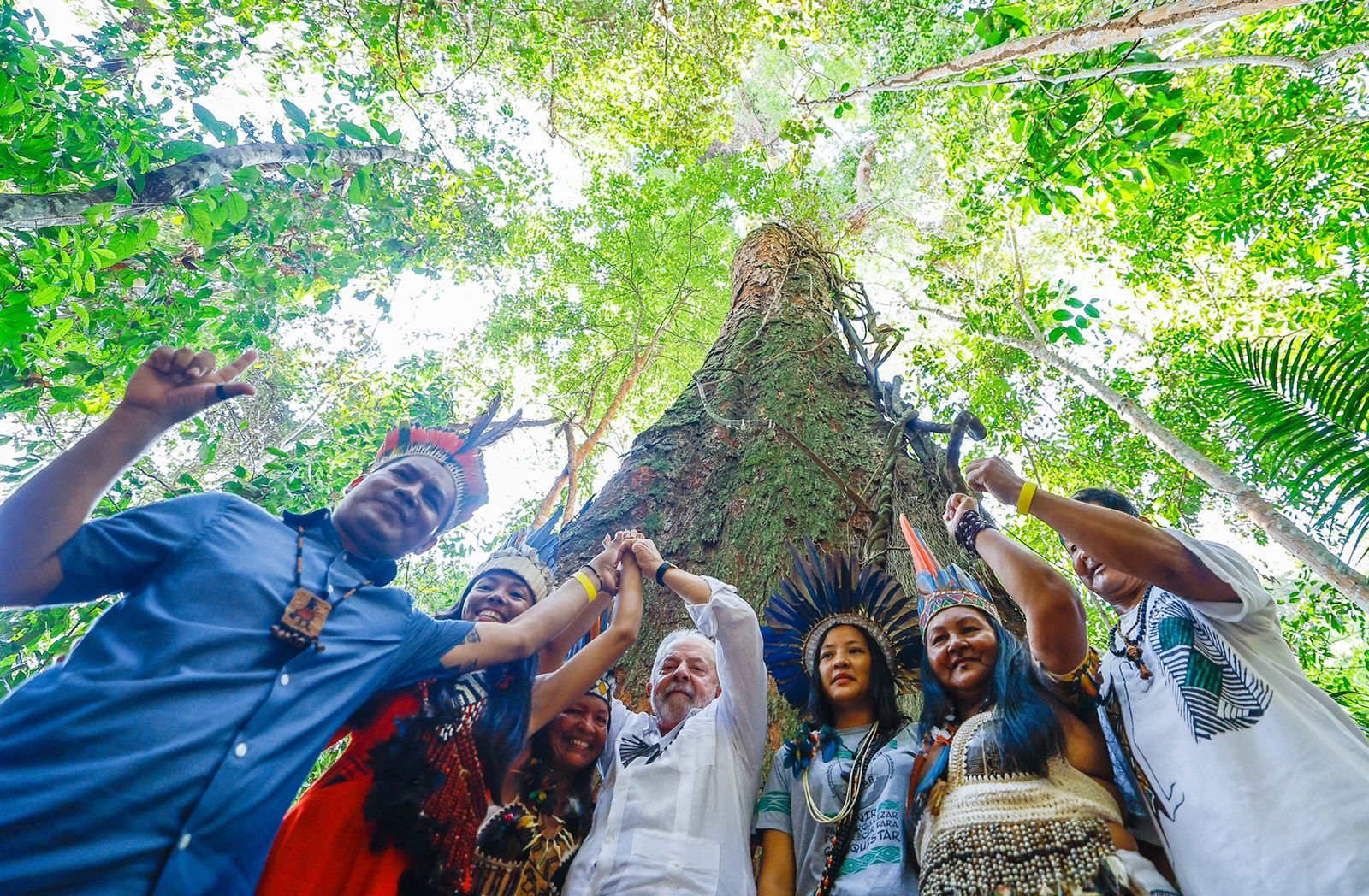 Brasil reduziu em 36% a perda de florestas em 2023, mostra estudo