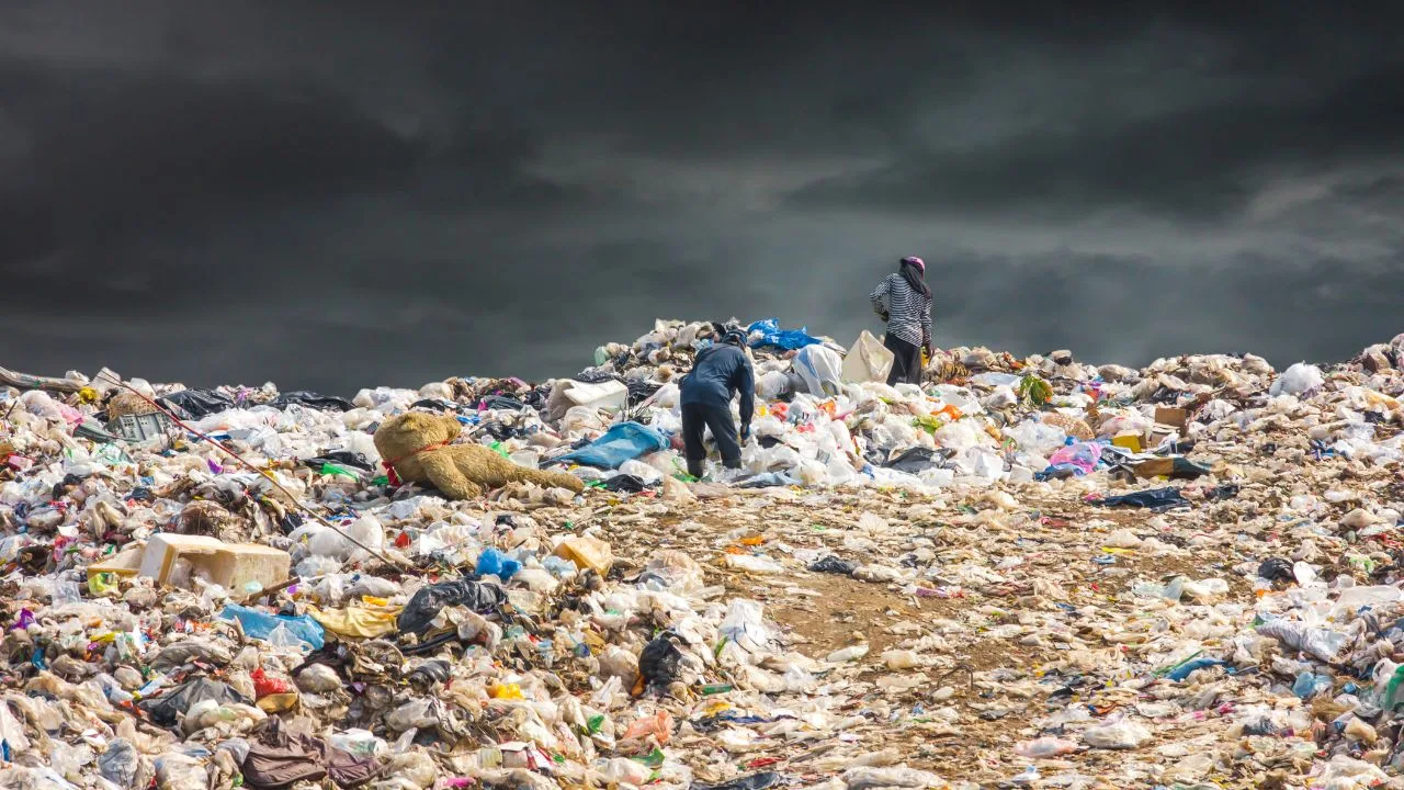 Mudanças climáticas em cena: A importância das narrativas cinematográficas para a preservação ambiental