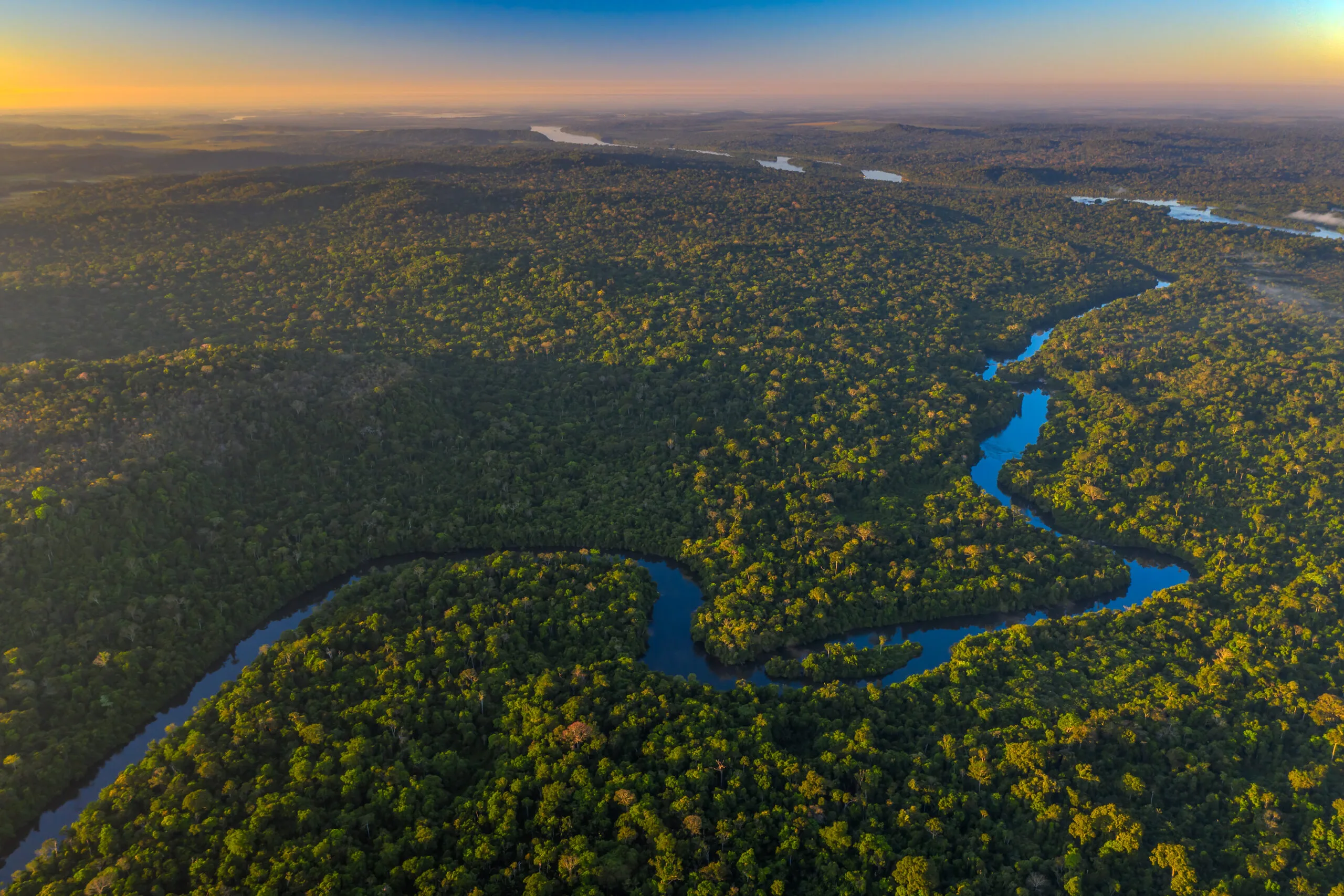 Organizações ambientais pressionam governador de MT para vetar projeto que converte áreas da Amazônia em Cerrado