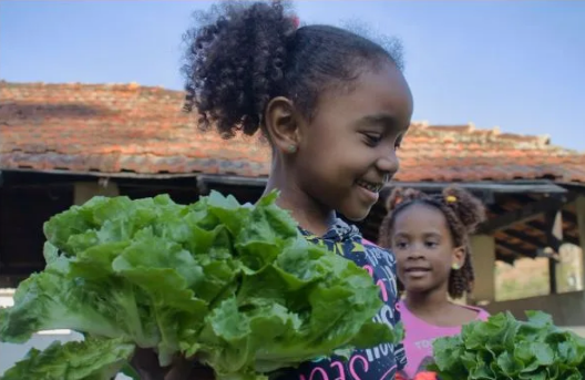 Cinco vezes agroecologia: experiências no Rio de Janeiro