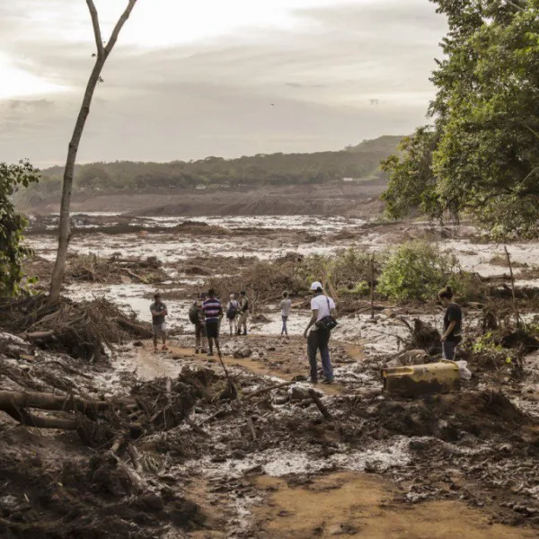 Juliana Cardoso alerta: Brasil não pode sediar COP30 com retrocessos ambientais
