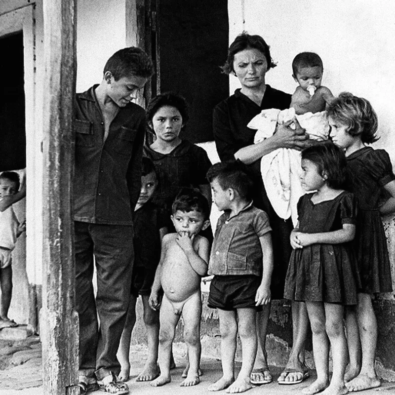 Cine Ninja Indica: 13 títulos para homenagear o cinema documental do Brasil