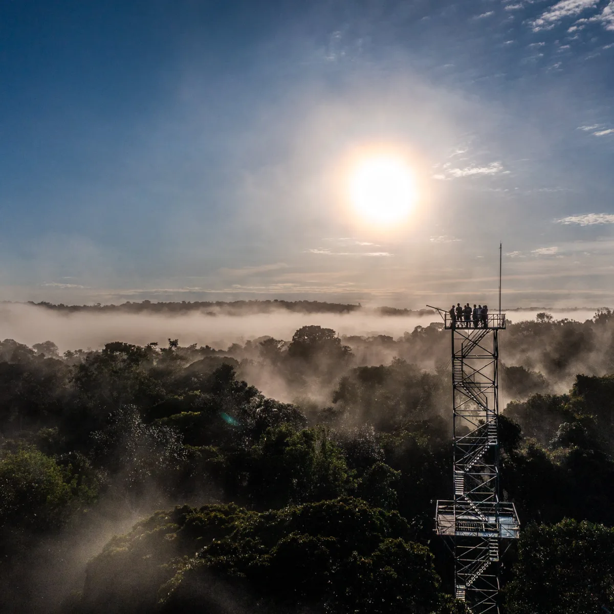 STF freia retrocesso ambiental em Mato Grosso e pode liberar novas Unidades de Conservação no estado