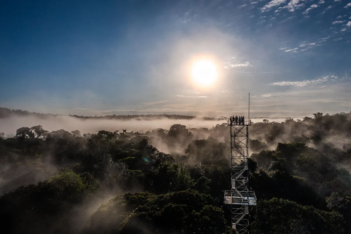 STF freia retrocesso ambiental em Mato Grosso e pode liberar novas Unidades de Conservação no estado