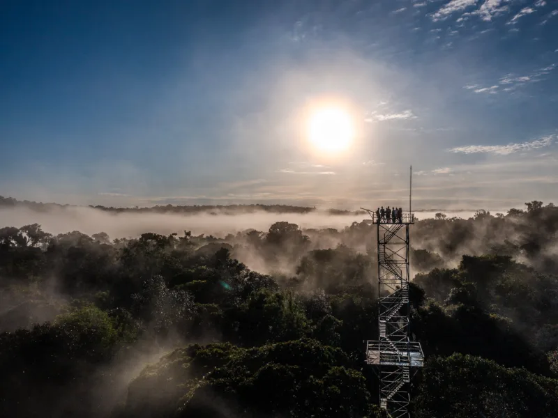 STF freia retrocesso ambiental em Mato Grosso e pode liberar novas Unidades de Conservação no estado