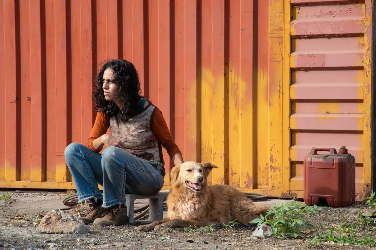 Nos cinemas: Confira os filmes que entram em cartaz nesta quinta (11)