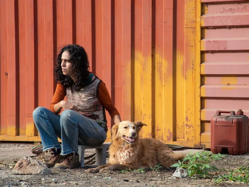 Nos cinemas: Confira os filmes que entram em cartaz nesta quinta (11)