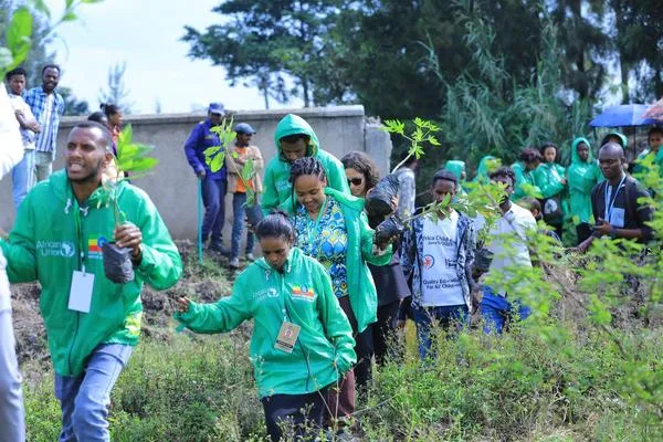 Jovens mobilizados pelo Mutirão COP30 plantam 300 árvores durante o África Climate Summit
