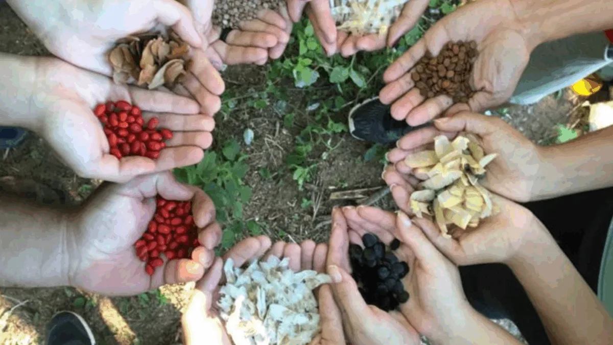 Mapeamento inédito revela como a agroecologia está enfrentando a crise climática