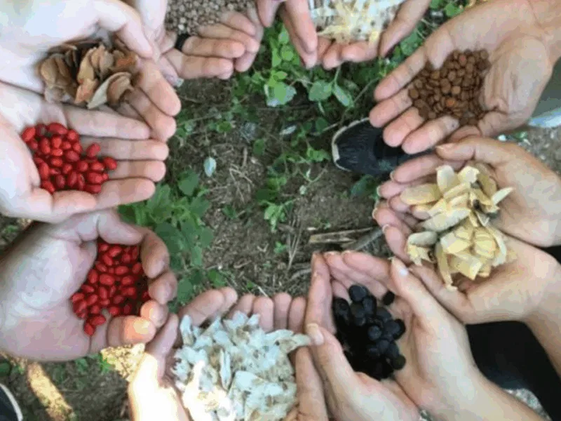 Mapeamento inédito revela como a agroecologia está enfrentando a crise climática