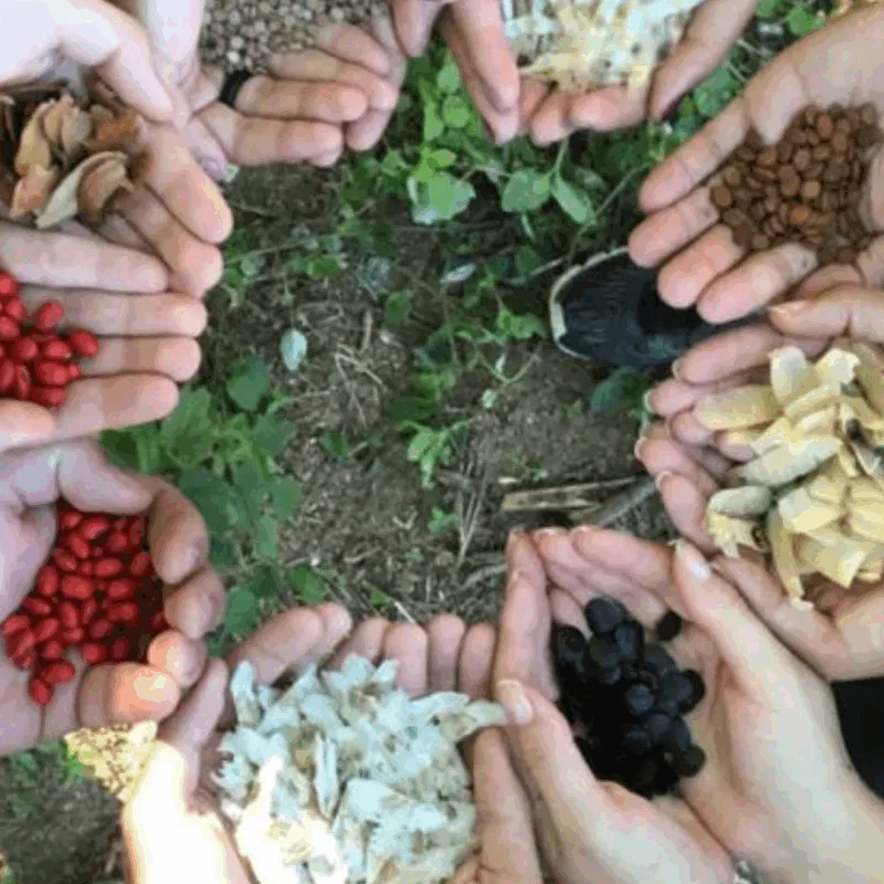 Mapeamento inédito revela como a agroecologia está enfrentando a crise climática