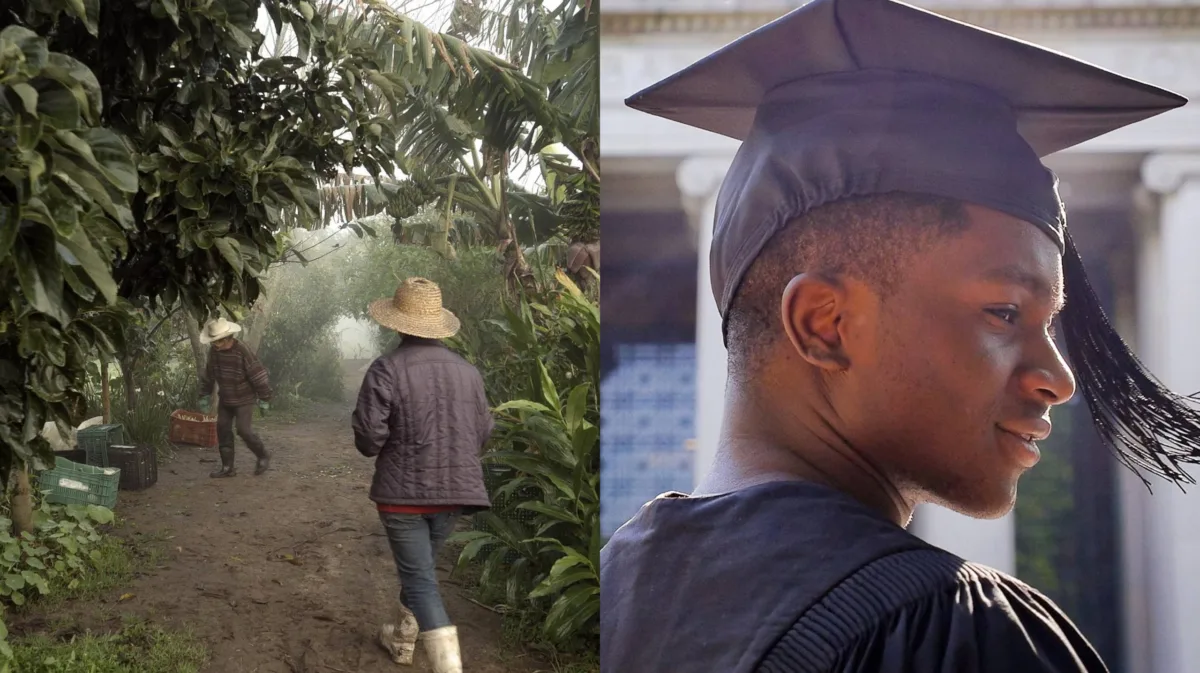 14º Filmambiente anuncia vencedores com destaque para ‘Mãos à Terra’ e ‘Breve, Leve, Suave’