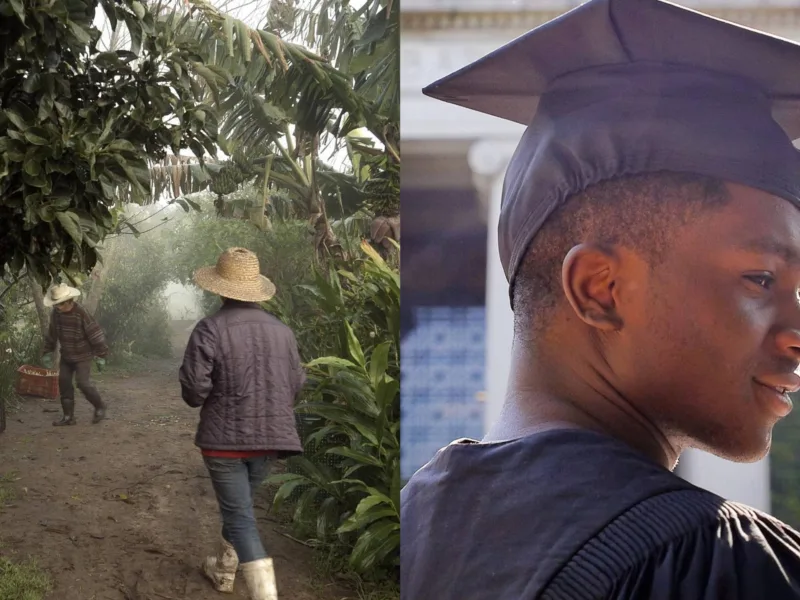 14º Filmambiente anuncia vencedores com destaque para ‘Mãos à Terra’ e ‘Breve, Leve, Suave’