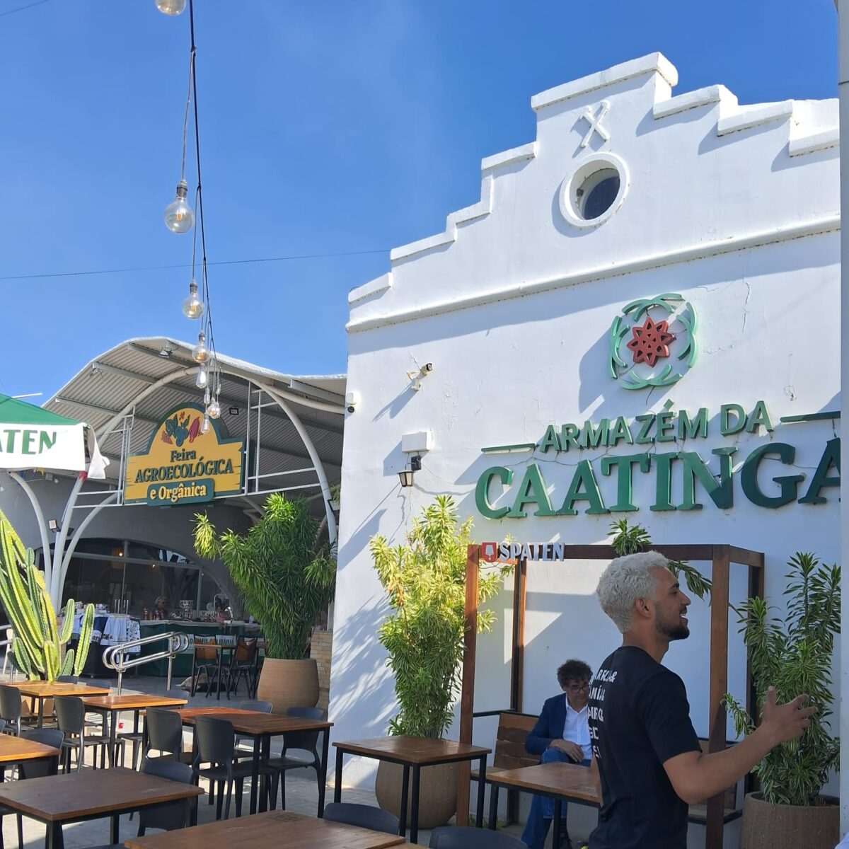 O que o bombom de umbu revela sobre a força da agroecologia no semiárido e em outros territórios