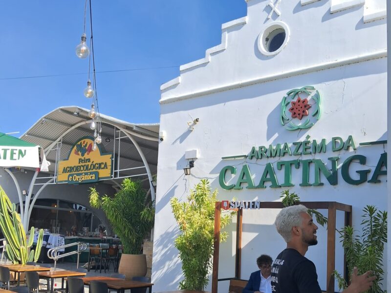 O que o bombom de umbu revela sobre a força da agroecologia no semiárido e em outros territórios