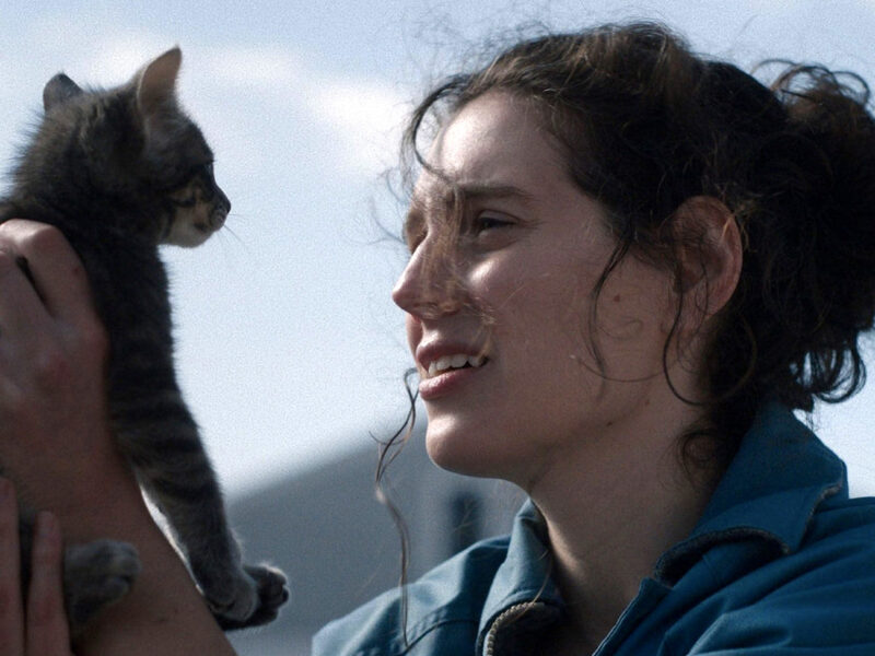 ‘Sorry, Baby’: Eva Victor transforma dor em vida com humor, estranheza e crítica cirúrgica