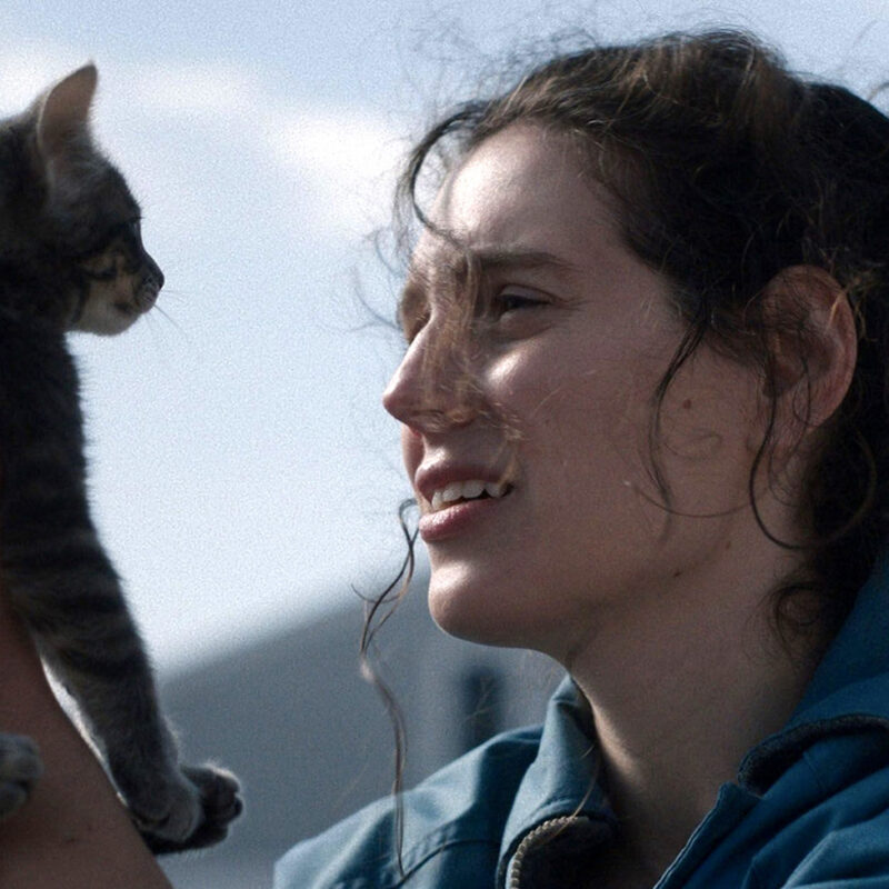 ‘Sorry, Baby’: Eva Victor transforma dor em vida com humor, estranheza e crítica cirúrgica