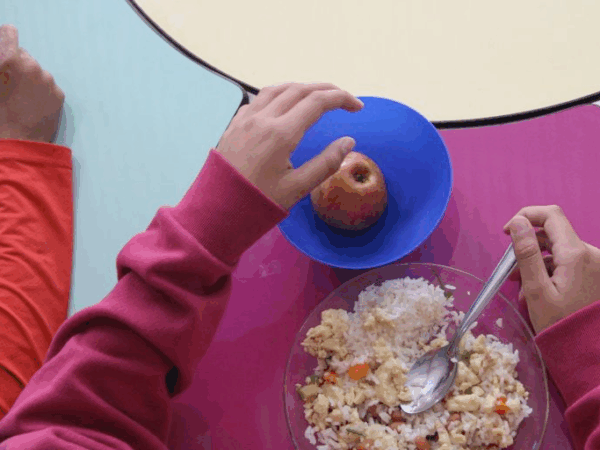 Alimentação escolar perdeu mais de 14% do poder de compra em dois anos sem reajuste