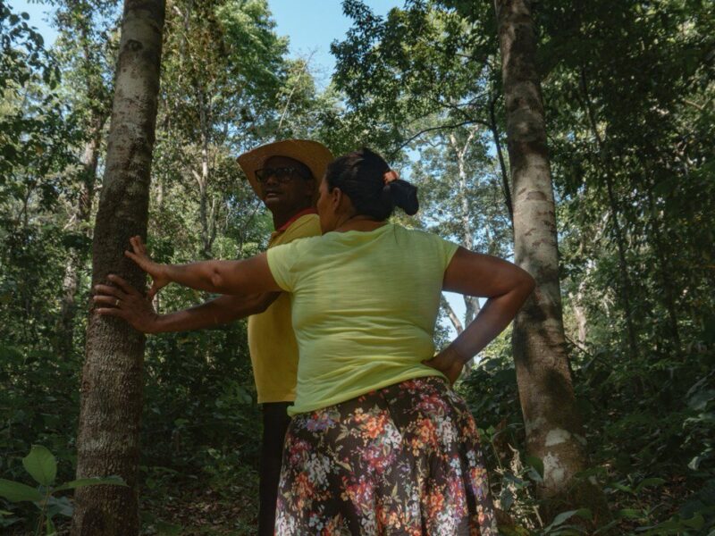 Na COP30, campanha expõe ao mundo a grave crise socioambiental que ameaça os povos do Cerrado