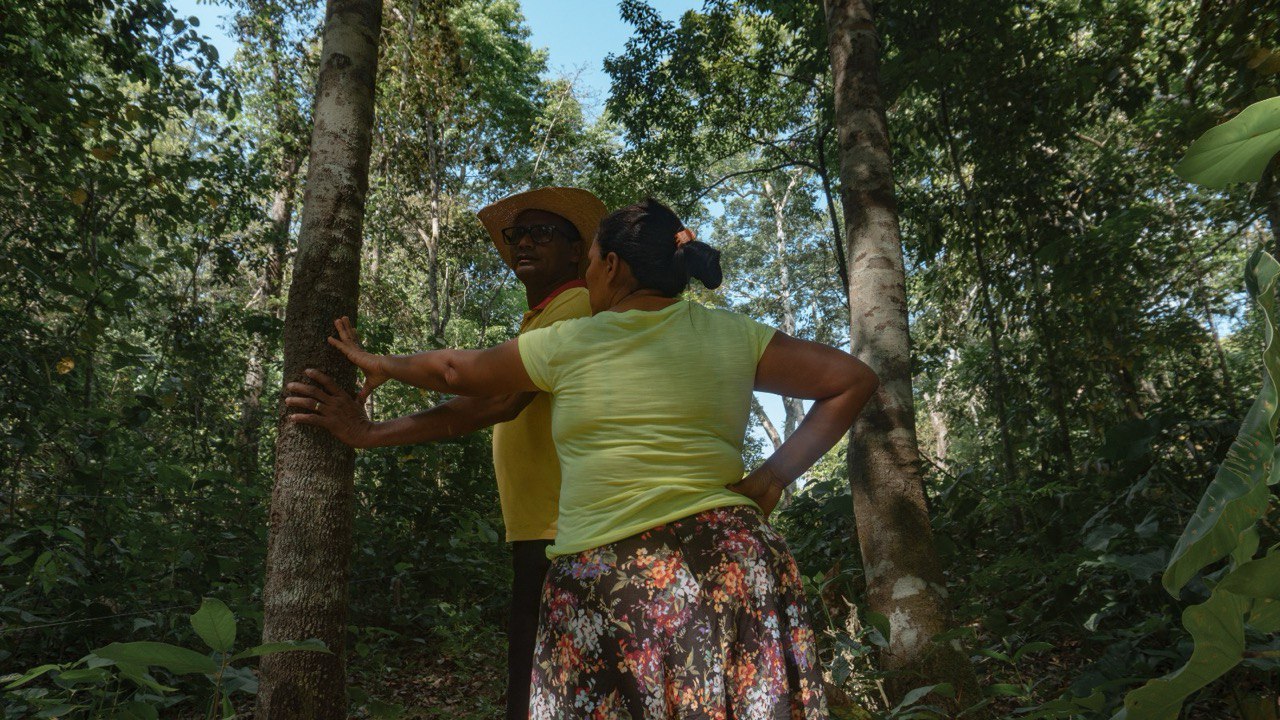 Na COP30, campanha expõe ao mundo a grave crise socioambiental que ameaça os povos do Cerrado