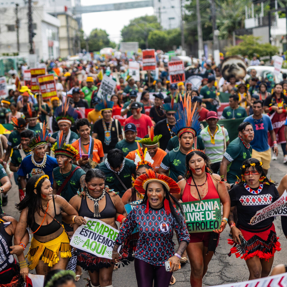 Após anos de espera, povos indígenas têm territórios homologados em três estados