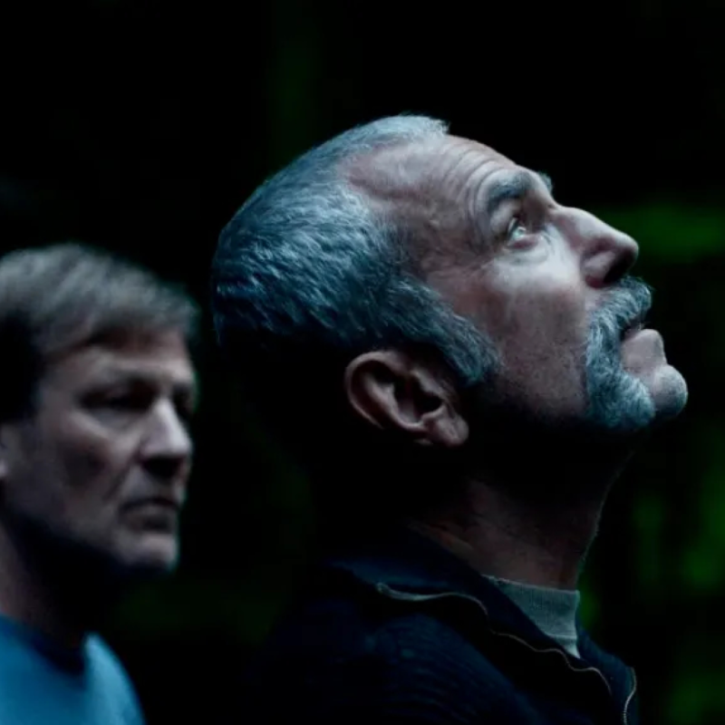 Samuel Beckett, ‘Os Banshees de Inisherin’, ‘Anemone’ e aquilo que nunca se resolve