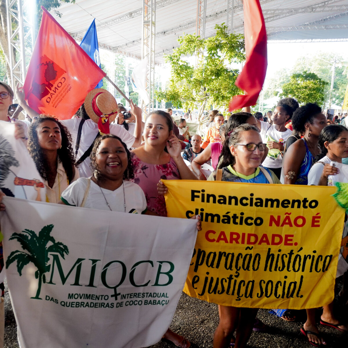 Chuva de veneno: Quebradeiras de Coco denunciam avanço da pulverização tóxica no Pará e Maranhão