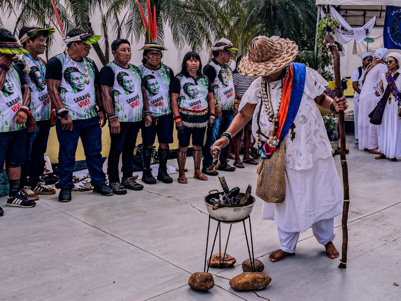 Ativistas de Bangladesh denunciam governo e Banco Mundial por impactos de projeto florestal