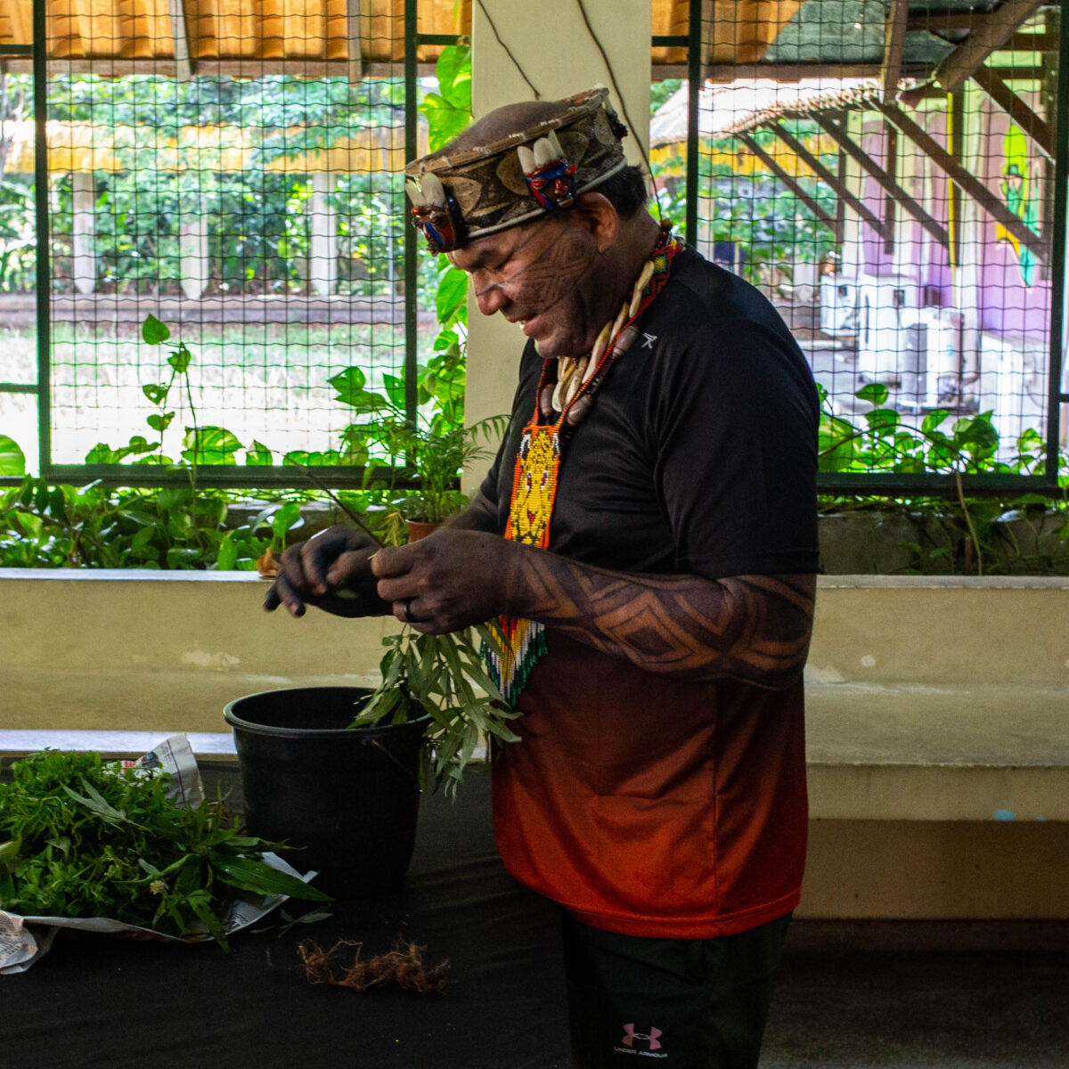 Mairi Vive: Belém, capital do Brasil durante a COP, é território Tupinambá