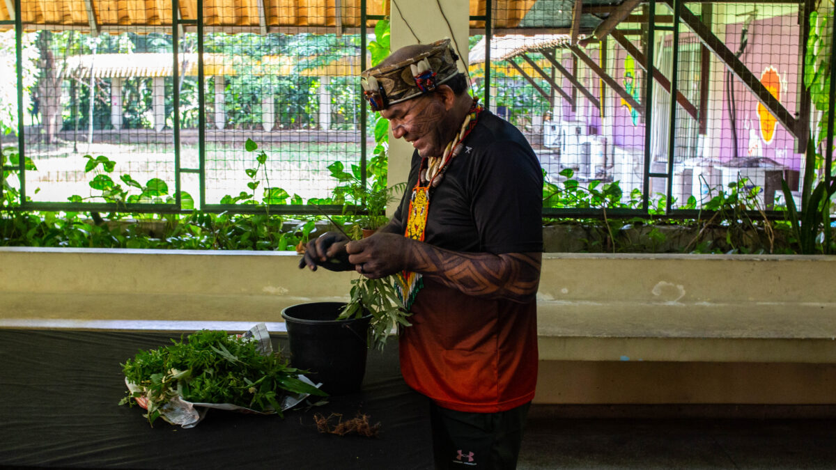 Mairi Vive: Belém, capital do Brasil durante a COP, é território Tupinambá