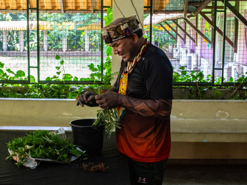 Mairi Vive: Belém, capital do Brasil durante a COP, é território Tupinambá