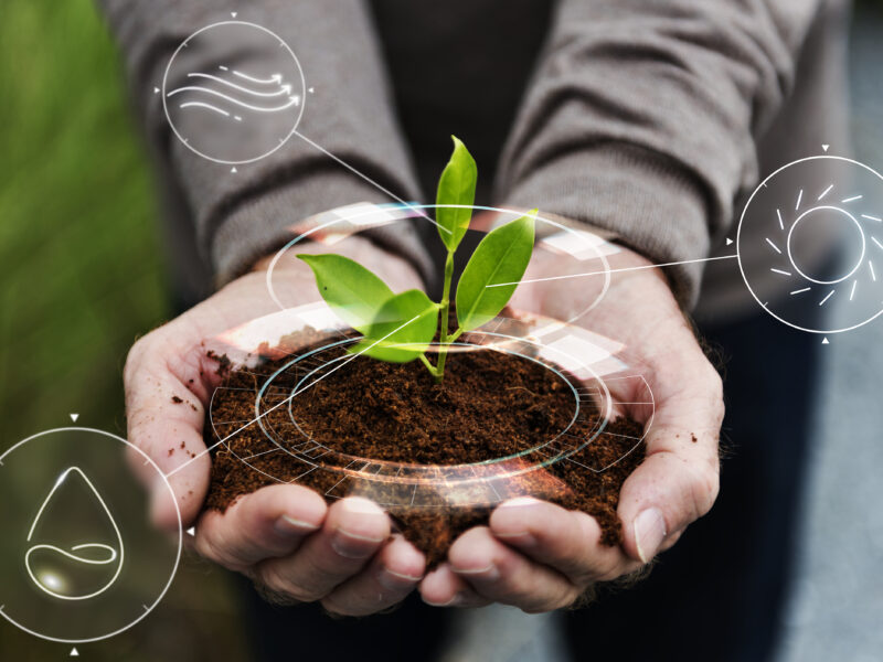 Faces do desenvolvimento na Amazônia: entre a promessa da bioeconomia e o conflito socioambiental