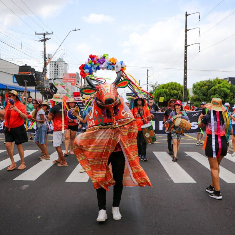 Belém respira cultura na COP30 e as artes viram ferramenta de resistência