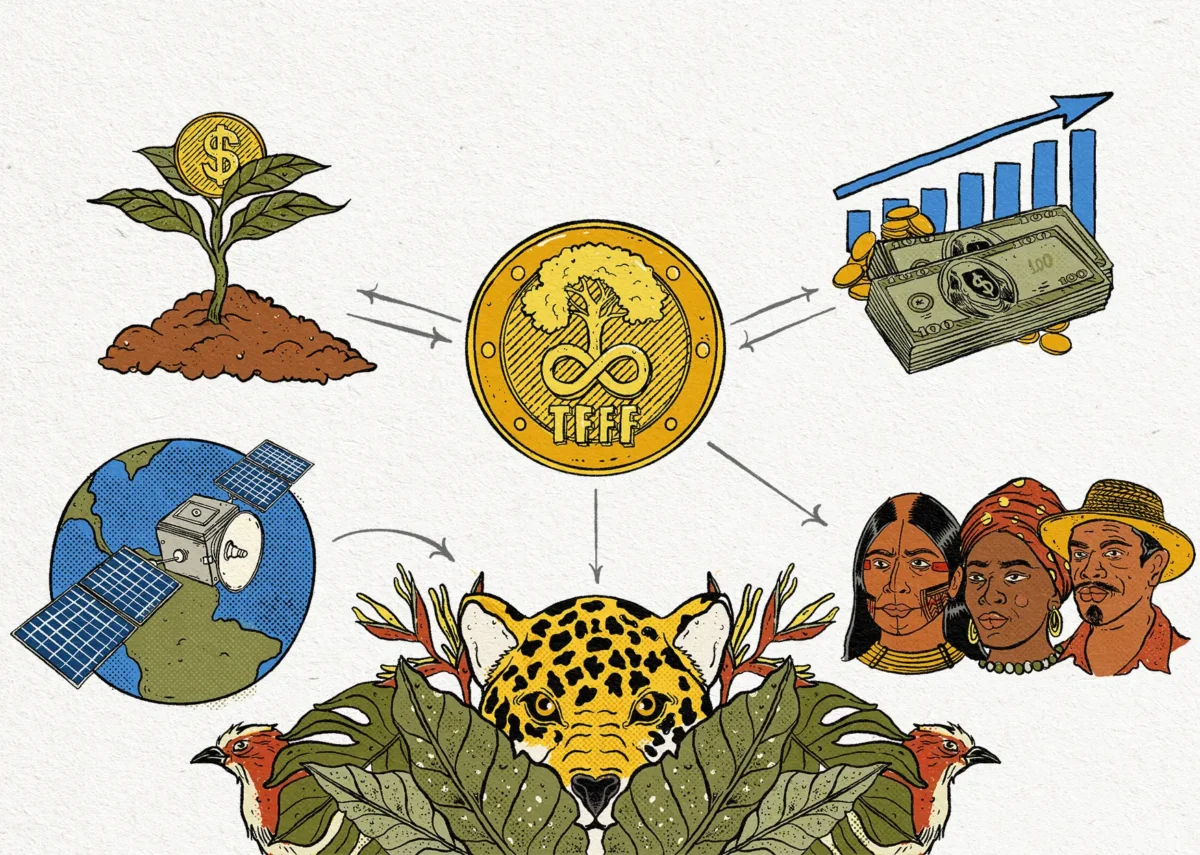 TFFF: A proposta brasileira que pode revolucionar o financiamento climático