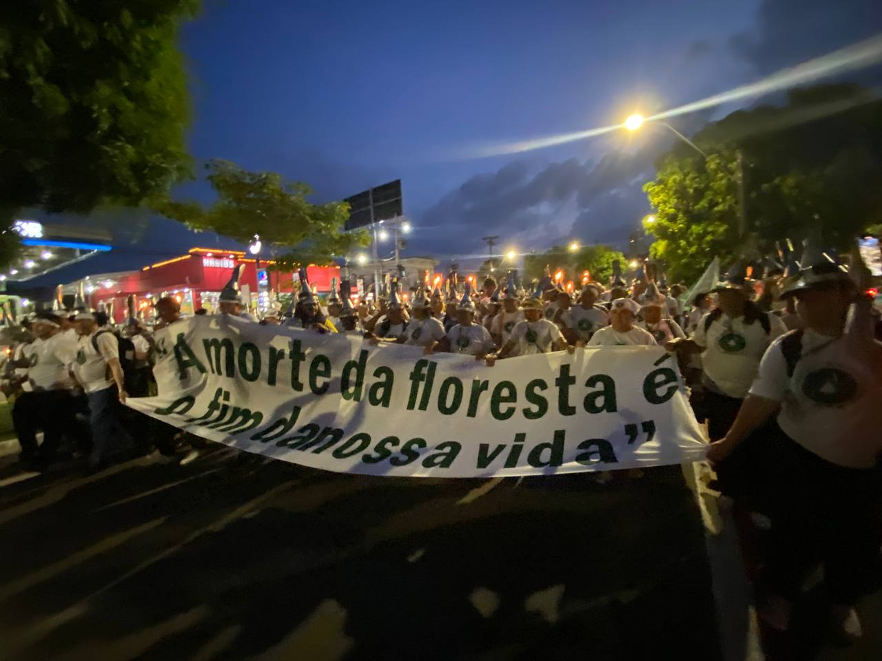 O luto como potência política: Aprender a chorar a floresta
