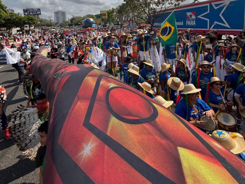Arte que marcha: linguagens potentes na luta ambiental