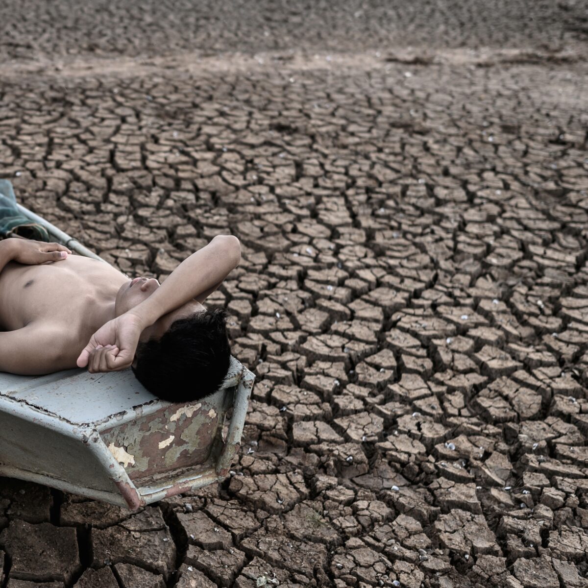 Amazônia como primeiro paciente: o prontuário que o Brasil revelou à COP30