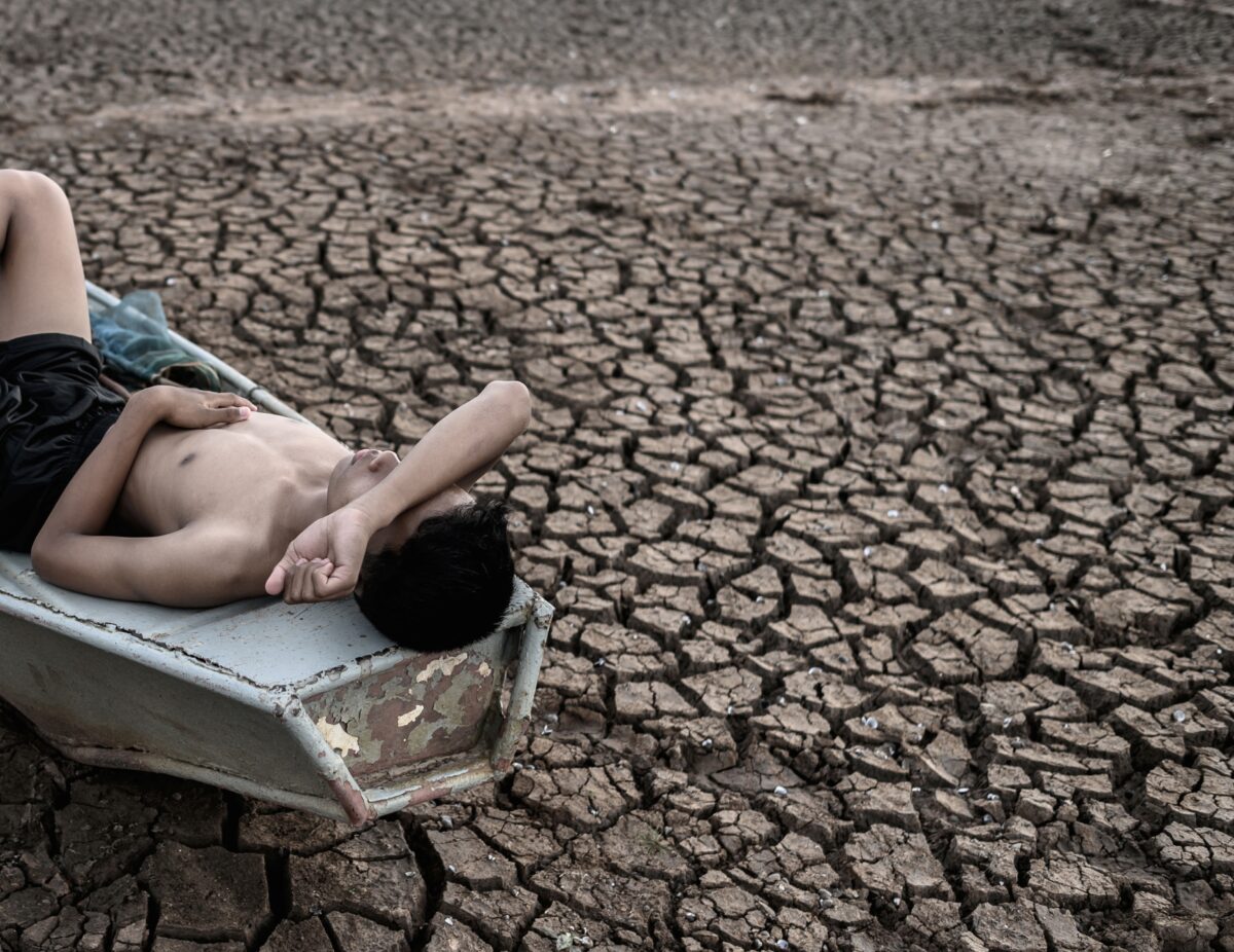 Amazônia como primeiro paciente: o prontuário que o Brasil revelou à COP30